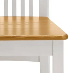 Chaises Boston (lot De 2) -Promos Déco Vestiaire Boutique 1000104381 211122 08321200865 DETAILS P000000001000104381