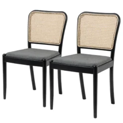 Chaises Cutis (lot De 2) -Promos Déco Vestiaire Boutique 1000273459 220420 010 IMAGE P000000001000273459