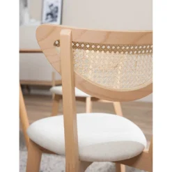 Chaises Danny (lot De 2) -Promos Déco Vestiaire Boutique 1000273461 220819 033 DETAILS P000000001000273461