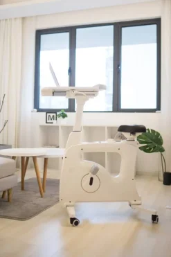 Vélo De Bureau Looca -Promos Déco Vestiaire Boutique 1000310908 230316 022 MOOD DETAILS P000000001000310908 mood