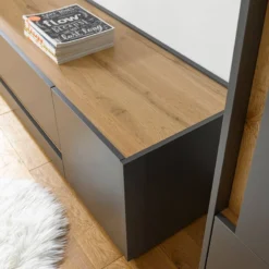 Ensemble Meubles TV Olon VI (5 éléments) -Promos Déco Vestiaire Boutique 1000350329 220517 033 DETAILS P000000001000350329