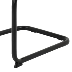 Chaise Cantilever Carbonia -Promos Déco Vestiaire Boutique 1000352415 220610 082 DETAILS P000000001000352415