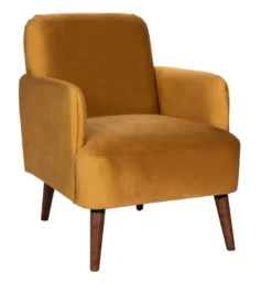 Fauteuil Rétro Velours Vert Forêt -Promos Déco Vestiaire Boutique 74dec5b77aaf4ecc880198764f4c9597.cropped 107 68 830 865.processed