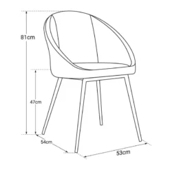 Chaises Vintage Velours (lot De 2) -Promos Déco Vestiaire Boutique 8427186650b844ab997695c49b691807