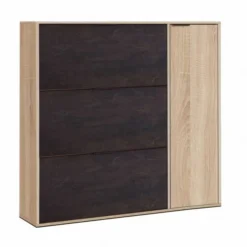 Meuble à Chaussures 3 Abattants