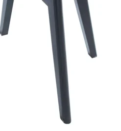 Lot De 2 Chaises NYBORG -Promos Déco Vestiaire Boutique b371948e6ba24b60ab183b0c8a3f3b13