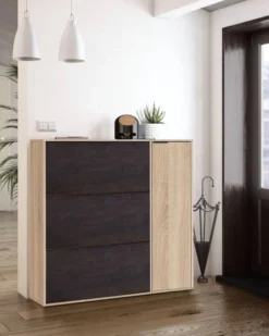 Meuble à Chaussures 3 Abattants -Promos Déco Vestiaire Boutique c85c7b9ac56744fe8d6eccfc29ba86c7.cropped 171 10 530 664.processed